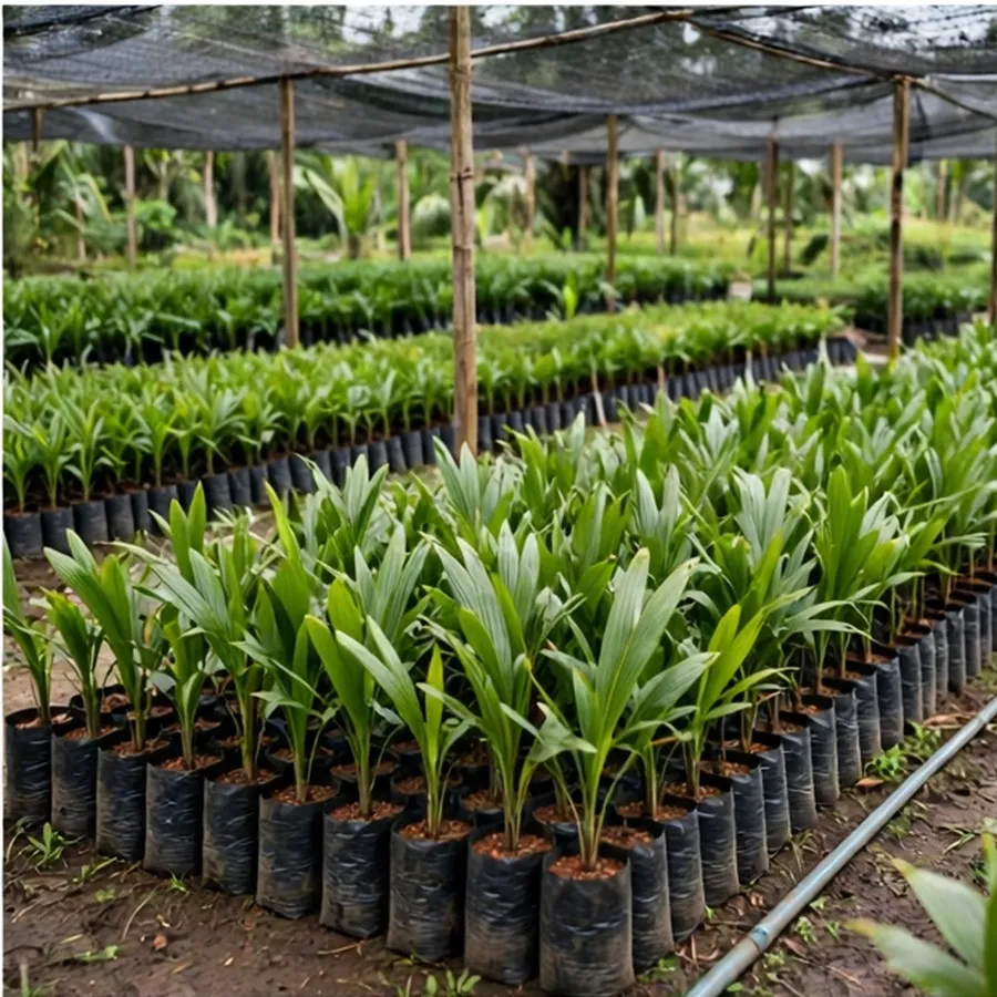 Kegiatan SANAVIRO 4